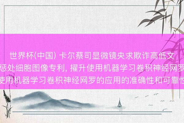 世界杯(中国) 卡尔蔡司显微镜央求欺诈高低文数据在卷积神经网罗中惩处细胞图像专利， 擢升使用机器学习卷积神经网罗的应用的准确性和可靠性