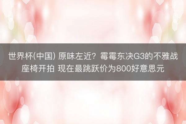 世界杯(中国) 原味左近?霉霉东决G3的不雅战座椅开拍 现在最跳跃价为800好意思元