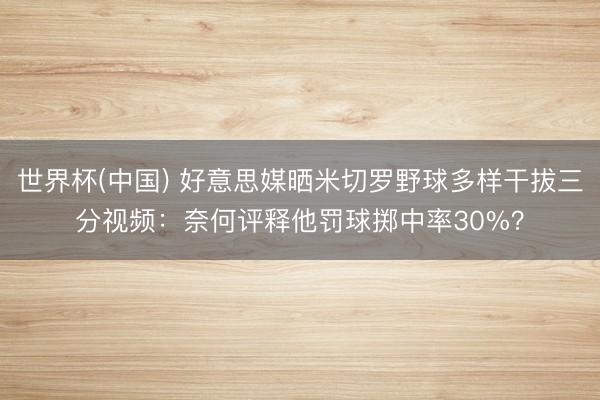 世界杯(中国) 好意思媒晒米切罗野球多样干拔三分视频：奈何评释他罚球掷中率30%？