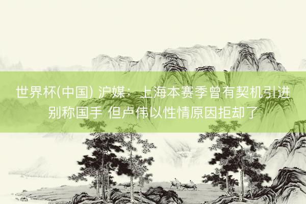 世界杯(中国) 沪媒：上海本赛季曾有契机引进别称国手 但卢伟以性情原因拒却了