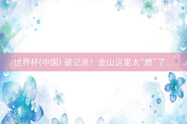 世界杯(中国) 破记录！金山这里太“燃”了…