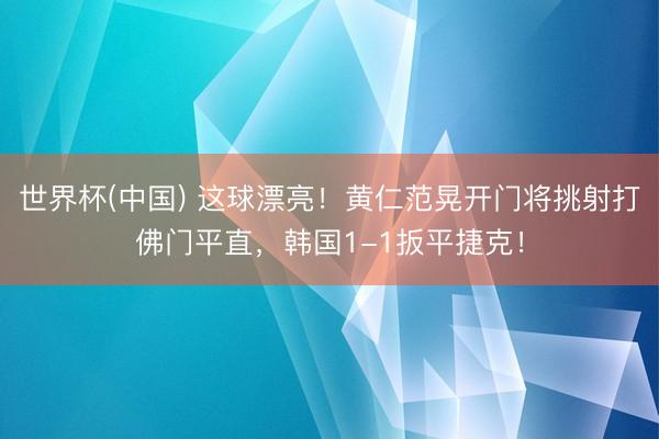 世界杯(中国) 这球漂亮！黄仁范晃开门将挑射打佛门平直，韩国1-1扳平捷克！