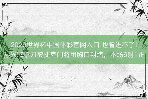 2026世界杯中国体彩官网入口 也曾进不了！孙兴慜单刀被捷克门将用胸口封堵，<a href=