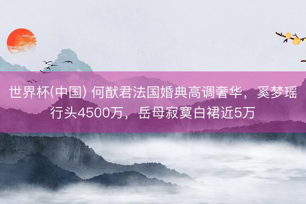 世界杯(中国) 何猷君法国婚典高调奢华，奚梦瑶行头4500万，岳母寂寞白裙近5万