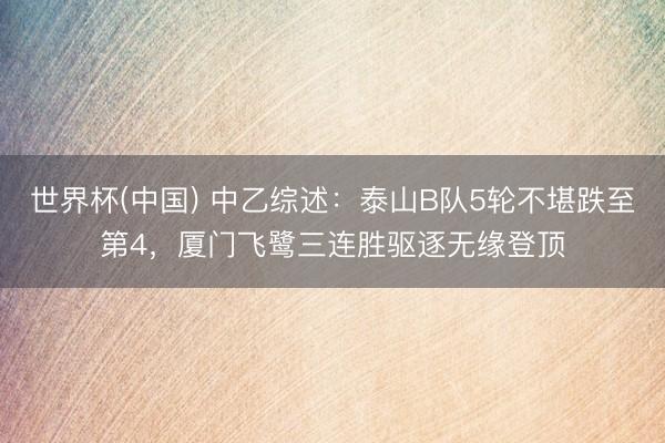 世界杯(中国) 中乙综述：泰山B队5轮不堪跌至第4，厦门飞鹭三连胜驱逐无缘登顶