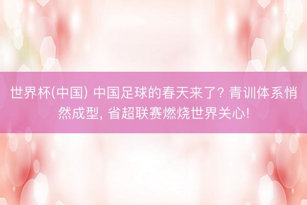 世界杯(中国) 中国足球的春天来了? 青训体系悄然成型， 省超联赛燃烧世界关心!