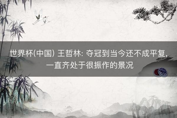 世界杯(中国) 王哲林: 夺冠到当今还不成平复， 一直齐处于很振作的景况