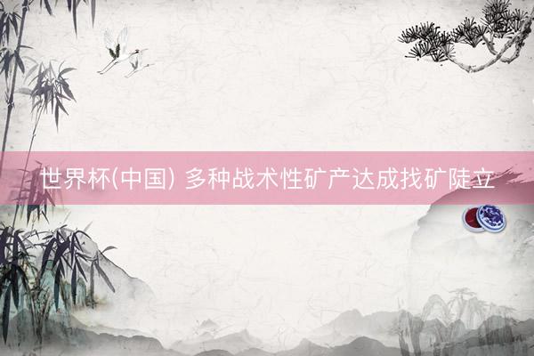 世界杯(中国) 多种战术性矿产达成找矿陡立