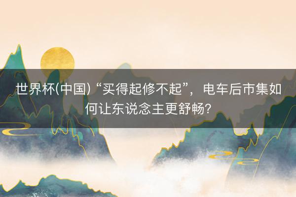 世界杯(中国) “买得起修不起”，电车后市集如何让东说念主更舒畅？