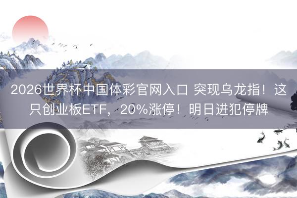 2026世界杯中国体彩官网入口 突现乌龙指！这只创业板ETF，20%涨停！明日进犯停牌