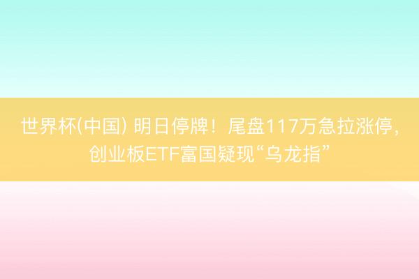 世界杯(中国) 明日停牌！尾盘117万急拉涨停，创业板ETF富国疑现“乌龙指”