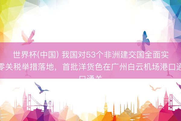 世界杯(中国) 我国对53个非洲建交国全面实施零关税举措落地,首批洋货色在广州白云机场港口通关