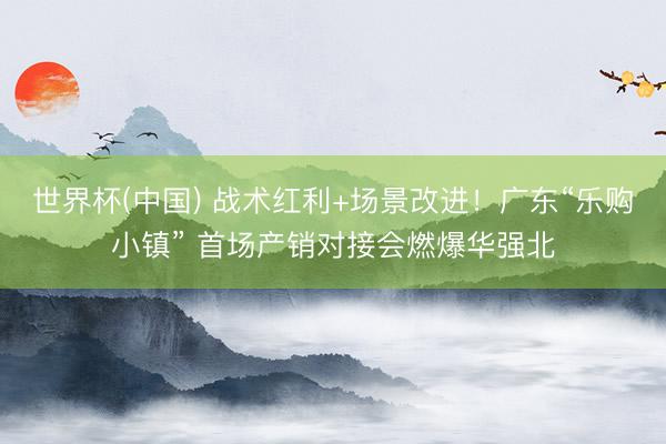 世界杯(中国) 战术红利+场景改进！广东“乐购小镇” 首场产销对接会燃爆华强北